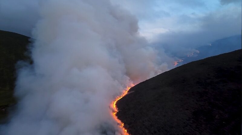 Incendios arrasan España y Francia